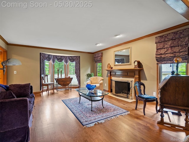 1552 Pebble Creek Dr, Rochester, MI 48307 - living area featuring ornamental molding, wood finished floors, a fireplace, and baseboards