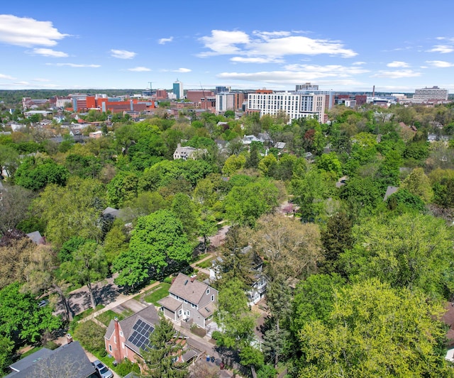 1015 Lincoln Ave, Ann Arbor, MI 48104 - view of urban area