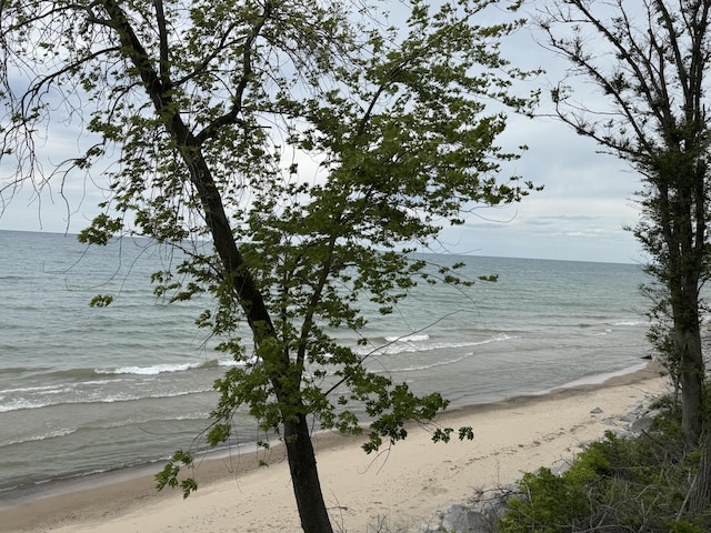 31 Mohawk Trl, New Buffalo, MI 49117 - water view featuring local beach