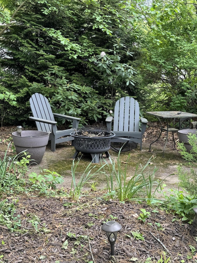 31 Mohawk Trl, New Buffalo, MI 49117 - view of yard featuring a fire pit