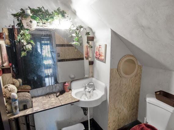 2041 Atkinson St, Detroit, MI 48206 - half bath featuring vaulted ceiling, toilet, and a sink