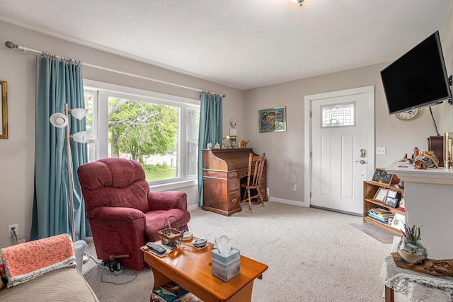 510 Cedar St, Paw Paw, MI 49079 - carpeted living area featuring healthy amount of natural light and baseboards