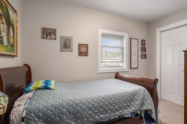 510 Cedar St, Paw Paw, MI 49079 - bedroom featuring carpet floors