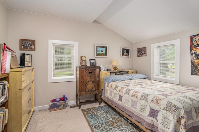 510 Cedar St, Paw Paw, MI 49079 - bedroom featuring vaulted ceiling, multiple windows, carpet floors, and baseboards