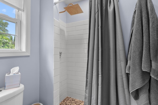 92282 Entrance Dr, Lawton, MI 49065 - full bath featuring healthy amount of natural light, a shower stall, and toilet