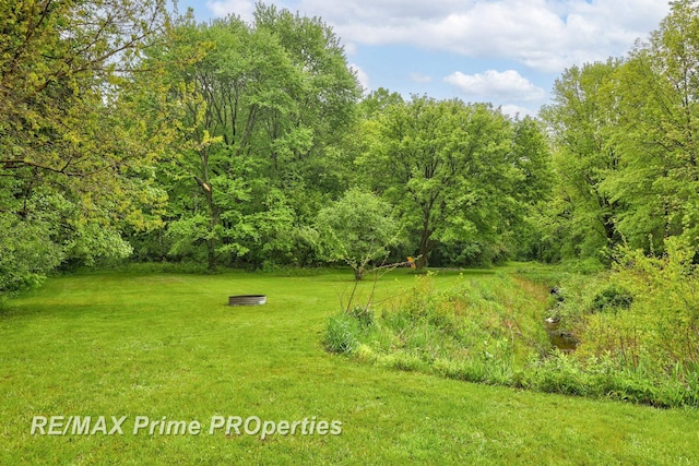 6461 Sheridan Rd, Saginaw, MI 48601 - view of grassy yard