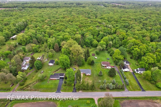 6461 Sheridan Rd, Saginaw, MI 48601 - aerial overview of property's location with a forest