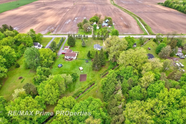 6461 Sheridan Rd, Saginaw, MI 48601 - aerial view of property and surrounding area featuring a tree filled landscape