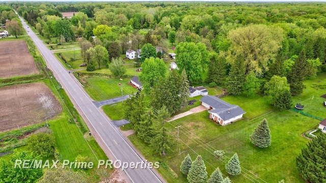 6461 Sheridan Rd, Saginaw, MI 48601 - drone / aerial view of a forest