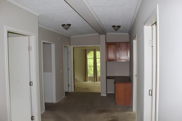 11200 Willard Rd, Burt, MI 48417 - hallway with light colored carpet, a textured ceiling, and baseboards