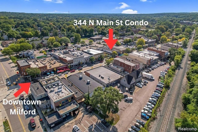 344 N Main St Unit 400, Milford, MI 48381 - photo 1