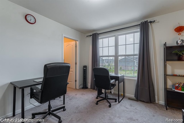24731 Ivy, Novi, MI 48375 - photo 19