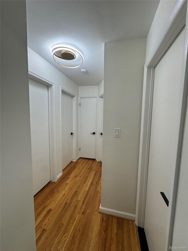 8511 Allen Rd, Allen Park, MI 48101 - corridor with light wood-style floors and baseboards