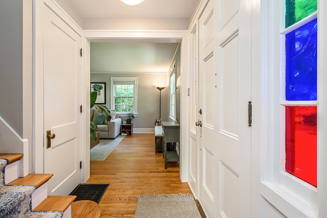 1512 Brooklyn Ave, Ann Arbor, MI 48104 - entrance foyer featuring light wood-style floors