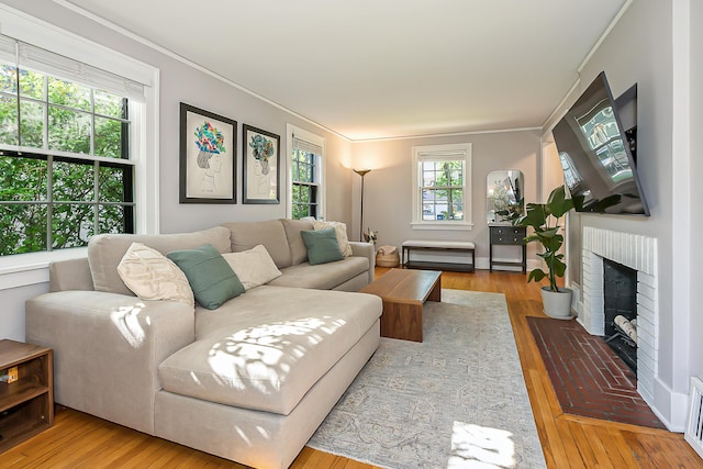 1512 Brooklyn Ave, Ann Arbor, MI 48104 - living room featuring wood finished floors, ornamental molding, and a fireplace