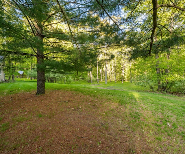 4841 Pear Way, Farwell, MI 48622 - view of green lawn