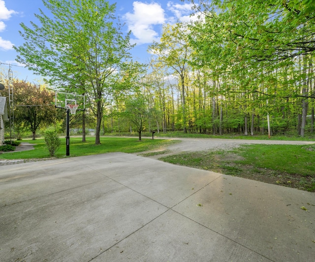 4841 Pear Way, Farwell, MI 48622 - view of basketball court featuring basketball hoop and a yard