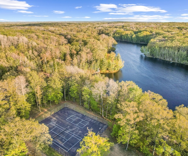 4841 Pear Way, Farwell, MI 48622 - aerial view of a heavily wooded area and a large body of water