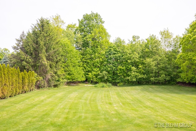 1705 Fritz St, Marne, MI 49435 - view of grassy yard