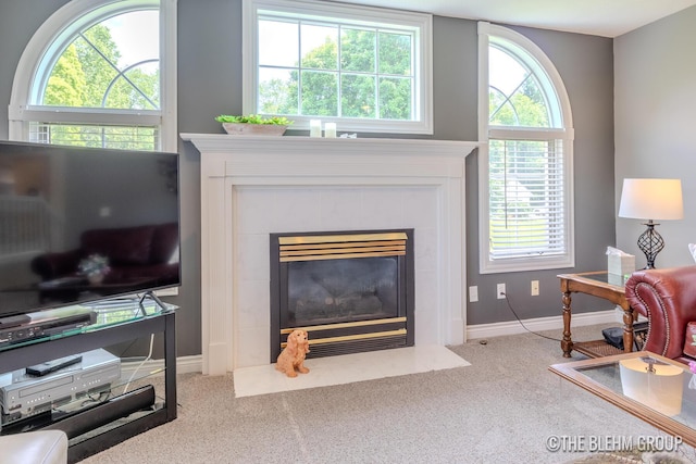 1705 Fritz St, Marne, MI 49435 - detailed view of carpet flooring, baseboards, and a tiled fireplace