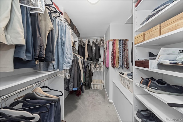 29832 High Valley Ct, Farmington Hills, MI 48331 - view of walk in closet