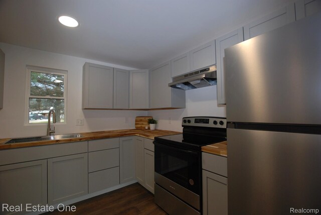 12357 Raymond Dr, Clio, MI 48420 - kitchen with stainless steel appliances, under cabinet range hood, wooden counters, a sink, and dark wood-style floors