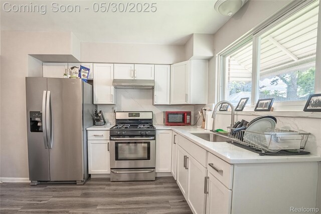 7265 Hillside Dr, Dearborn, MI 48127 - kitchen with stainless steel appliances, under cabinet range hood, a sink, and white cabinetry