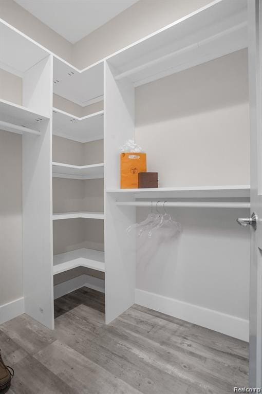 344 Main St Unit 300, Milford, MI 48381 - spacious closet with wood finished floors