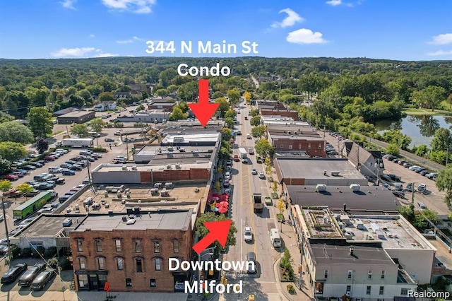 344 Main St Unit 300, Milford, MI 48381 - drone / aerial view of a heavily wooded area