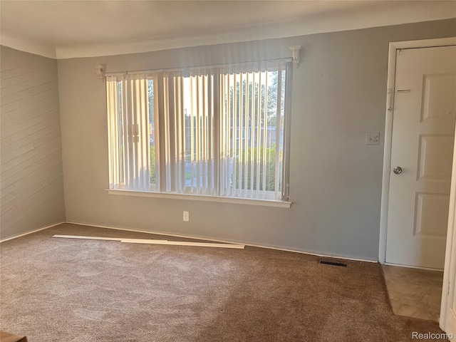 26304 Patricia Ave, Sterling Heights, MI 48091 - spare room featuring plenty of natural light, carpet, and baseboards