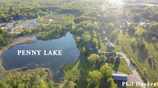 105 Penny Ln, Stanton, MI 48888 - view of property location with a nearby body of water