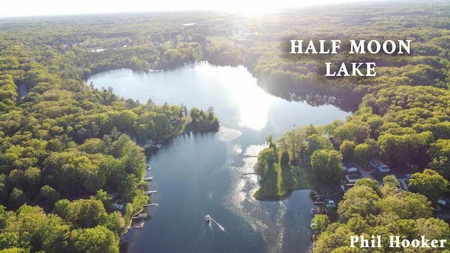 105 Penny Ln, Stanton, MI 48888 - aerial view of a forest and a large body of water