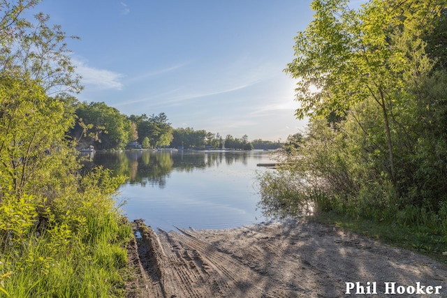105 Penny Ln, Stanton, MI 48888 - water view with a forest