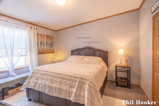 105 Penny Ln, Stanton, MI 48888 - bedroom with carpet flooring, crown molding, a textured ceiling, and baseboards