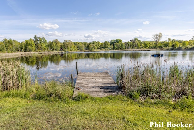 105 Penny Ln, Stanton, MI 48888 - dock area featuring a water view and a wooded view