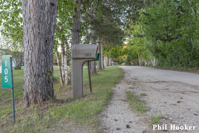 105 Penny Ln, Stanton, MI 48888 - view of street