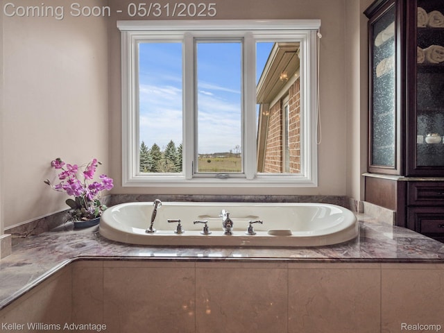 20971 Pomino Dr, Northville, MI 48167 - bathroom with a bath
