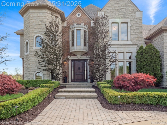 20971 Pomino Dr, Northville, MI 48167 - view of front of property featuring stone siding