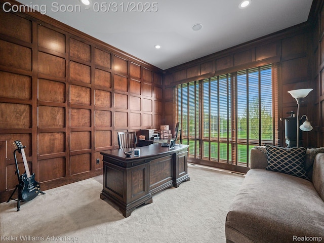 20971 Pomino Dr, Northville, MI 48167 - office with a decorative wall, light colored carpet, healthy amount of natural light, and recessed lighting