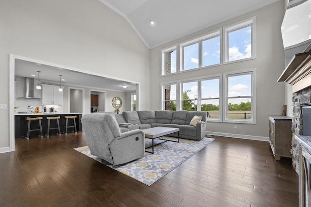 2349 Westbrooke Ct, Ann Arbor, MI 48105 - living room with a fireplace, high vaulted ceiling, crown molding, baseboards, and dark wood-type flooring