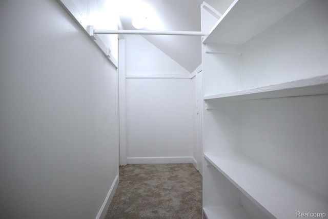 15243 Eastwood St, Detroit, MI 48205 - spacious closet with carpet