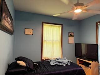 835 Turtle Lake Rd, Union City, MI 49094 - photo 26