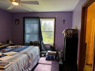 835 Turtle Lake Rd, Union City, MI 49094 - photo 23