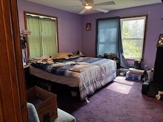 835 Turtle Lake Rd, Union City, MI 49094 - photo 24