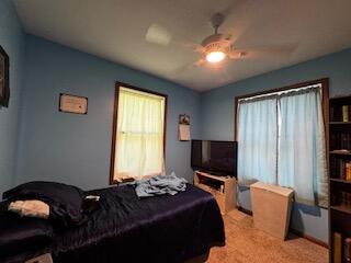835 Turtle Lake Rd, Union City, MI 49094 - photo 28