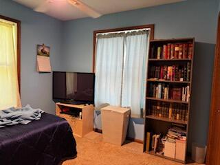 835 Turtle Lake Rd, Union City, MI 49094 - photo 30