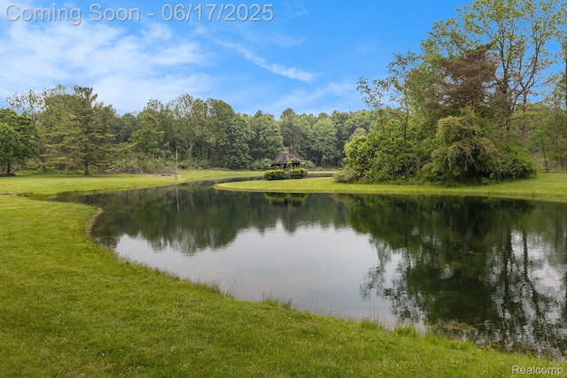 3801 Hollow Corners Rd, Dryden, MI 48428 - photo 60
