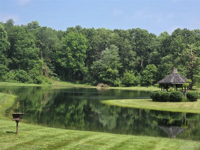 3801 Hollow Corners Rd, Dryden, MI 48428 - photo 79