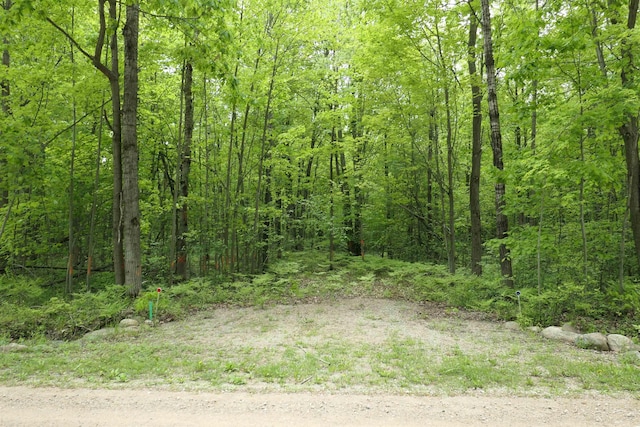 TBD S Lakeside Trl, Shepherd, MI 48883