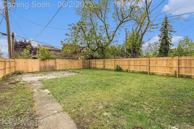5025 Somerset Ave, Detroit, MI 48224 - view of yard